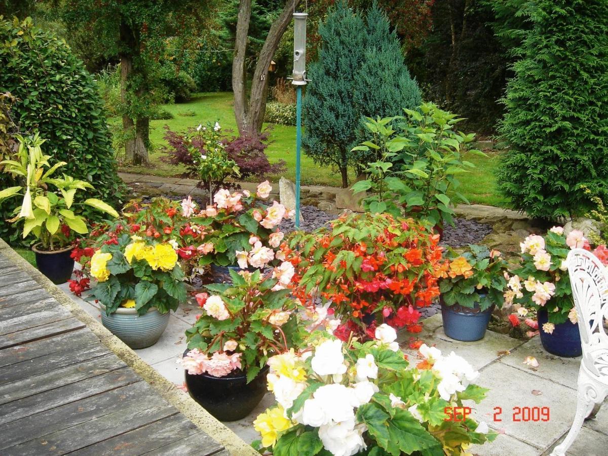 The Willows Bed & Breakfast York Exterior photo