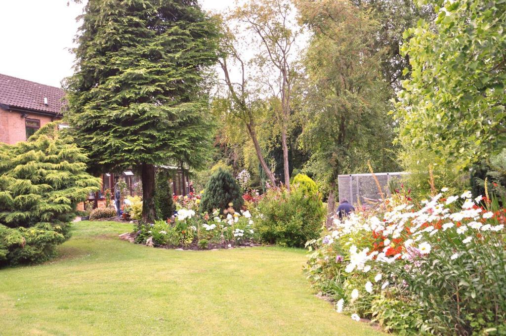 The Willows Bed & Breakfast York Exterior photo